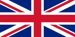 Language flag