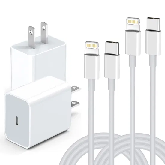 Mobile Charger